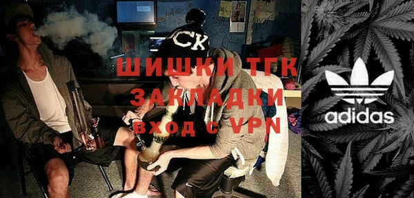 тгк Алексин