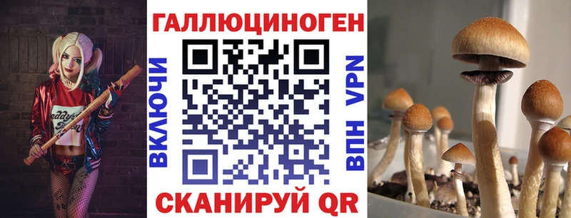 Псилоцибиновые грибы ЛСД Дзержинск