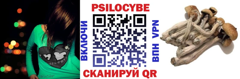 Псилоцибиновые грибы мицелий  ОМГ ОМГ вход  Дзержинск 