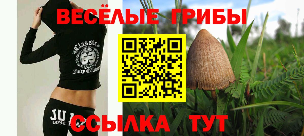Галлюциногенные грибы GOLDEN TEACHER  как найти наркотики  Дзержинск  Галлюциногенные грибы MAGIC MUSHROOMS  Вход с VPN 